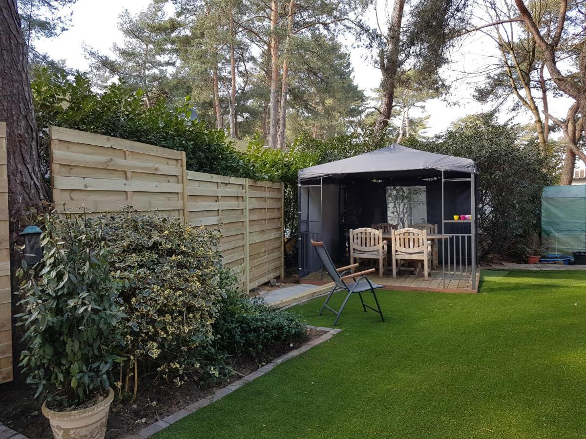 " Casitacuriosa " Chalet Op Camping Met Buitenzwembad Balen Exterior photo